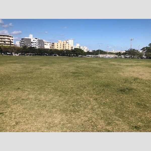 現地周辺 (新都心公園まで 900m)