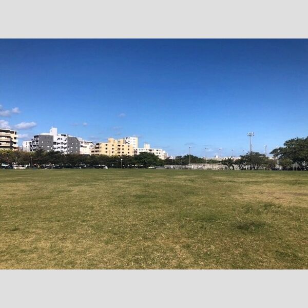 現地周辺 (新都心公園まで450m)