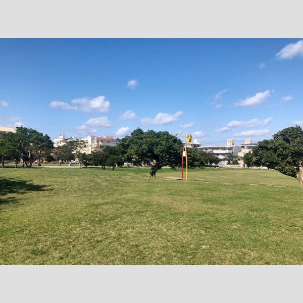 現地周辺 (天久ちゅらまち公園まで450m)