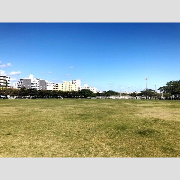 現地周辺 (新都心公園まで 150m)