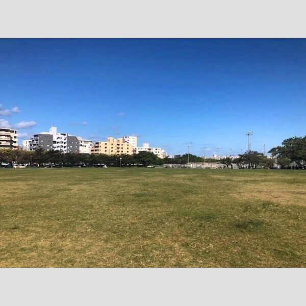 現地周辺 (新都心公園まで 500m)