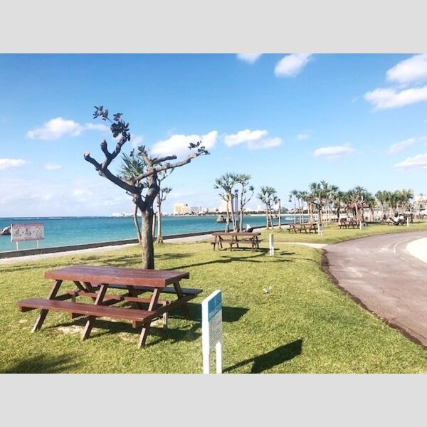 現地周辺 ((ビーチ)　アラハビーチまで 250m)