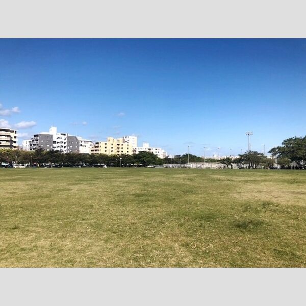 現地周辺 (新都心公園まで 400m)