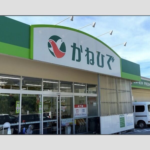 現地周辺 (タウンプラザかねひで大北店 531m)