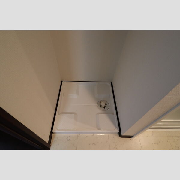 その他 (室内洗濯機置場)