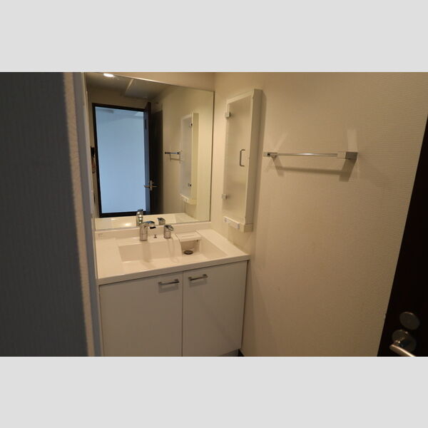 洗面所 (洗髪洗面化粧台)