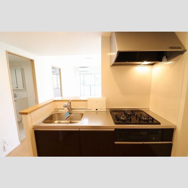 キッチン (206　カウンターキッチン)