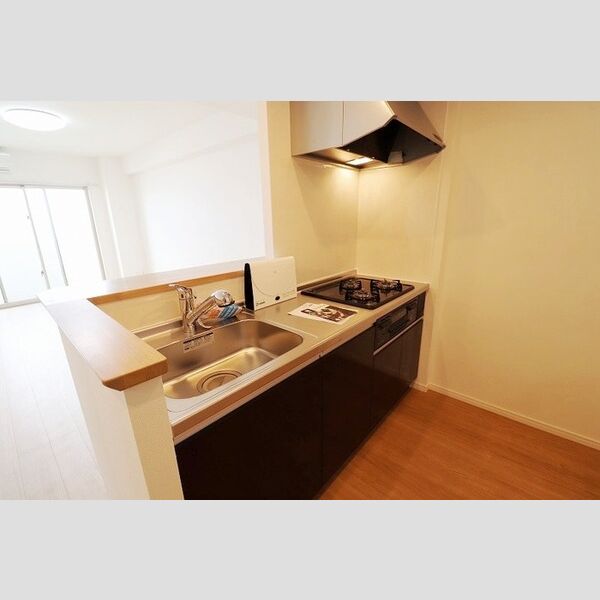 キッチン (505　カウンターキッチン)