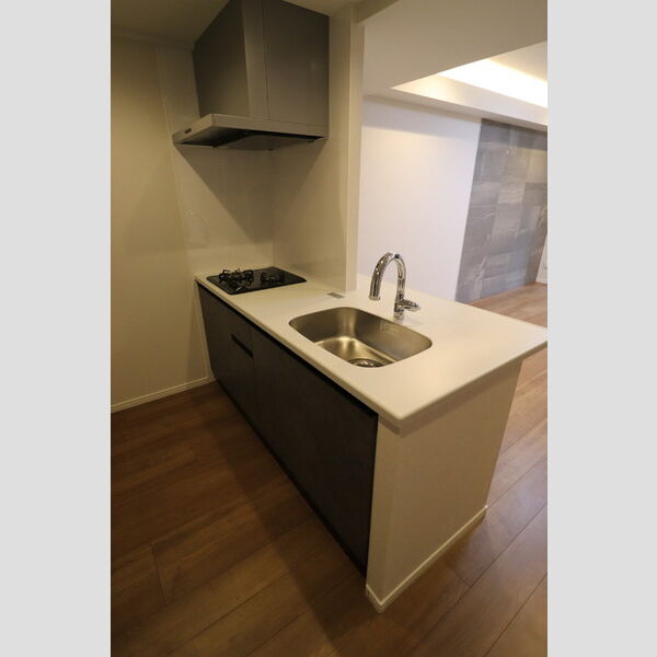 キッチン (405号　システムキッチン)