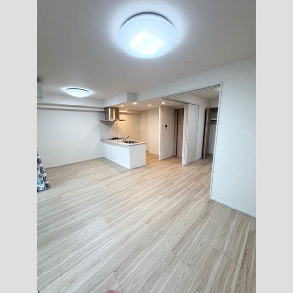 居室・リビング (703　LDK)