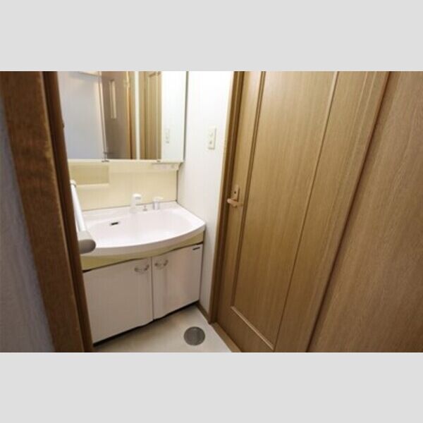 洗面所 (洗髪洗面化粧台)