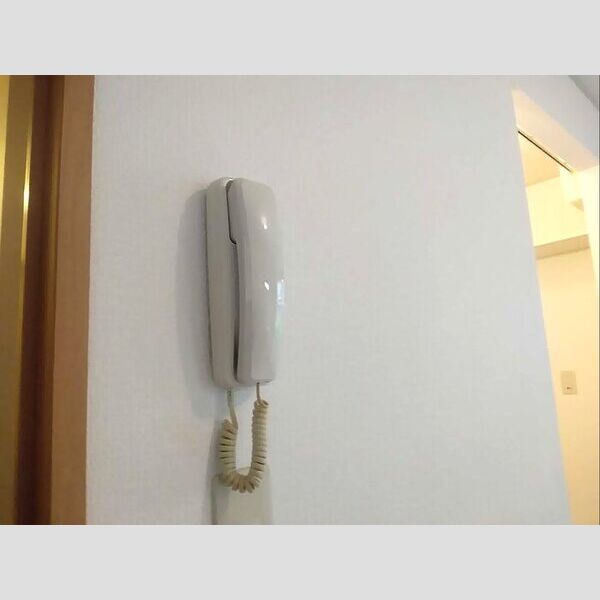 その他設備 (203　インターホン)