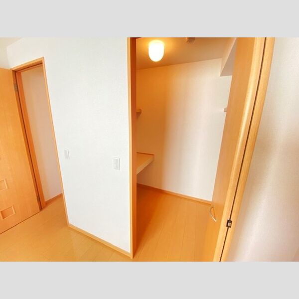 その他 (ウォークインクローゼット)