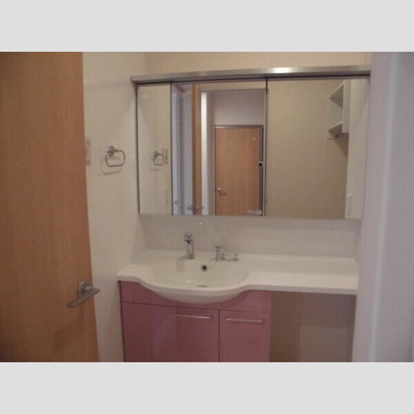 洗面所 (洗髪洗面化粧台)