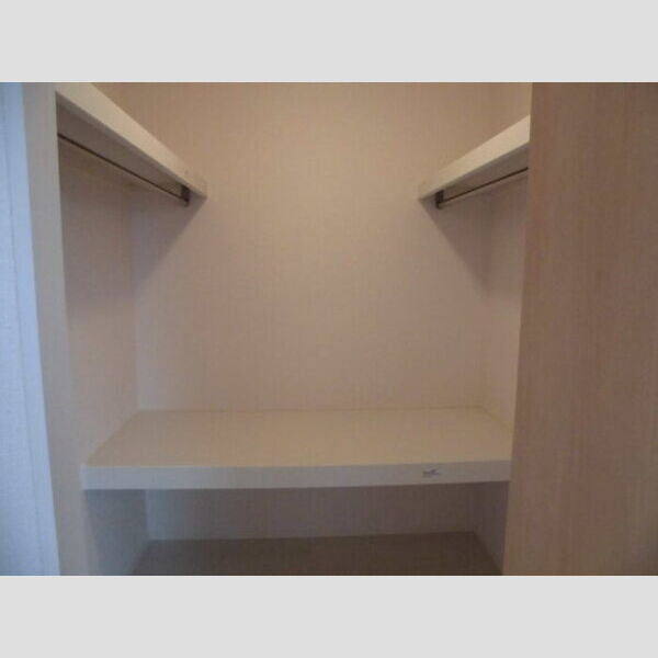 収納 (ウォークインクローゼット)