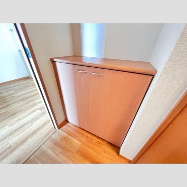 その他 (105　シューズボックス)