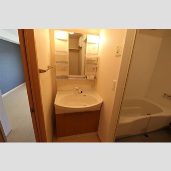 洗面所 (洗髪洗面化粧台)