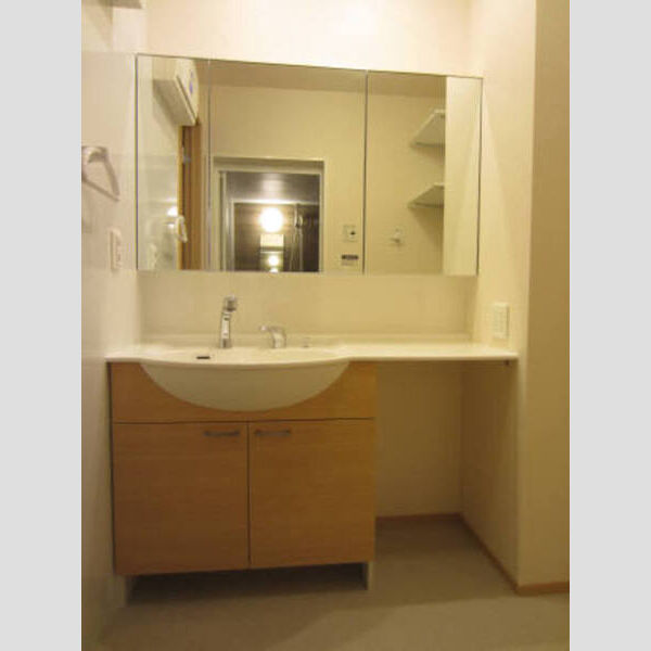 洗面所 (303号室 洗面室)