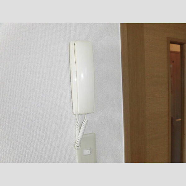 その他 (インターホン)