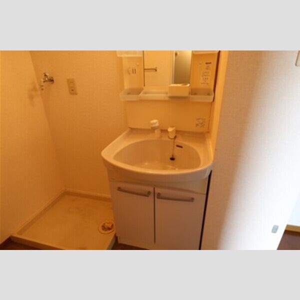洗面所 (洗髪洗面化粧台)