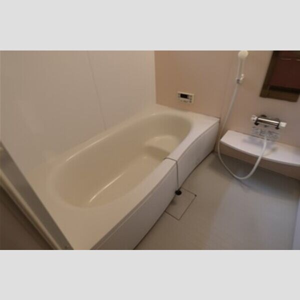 バス (一坪風呂)