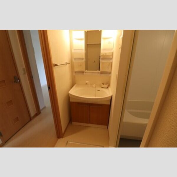 洗面所 (洗髪洗面化粧台)