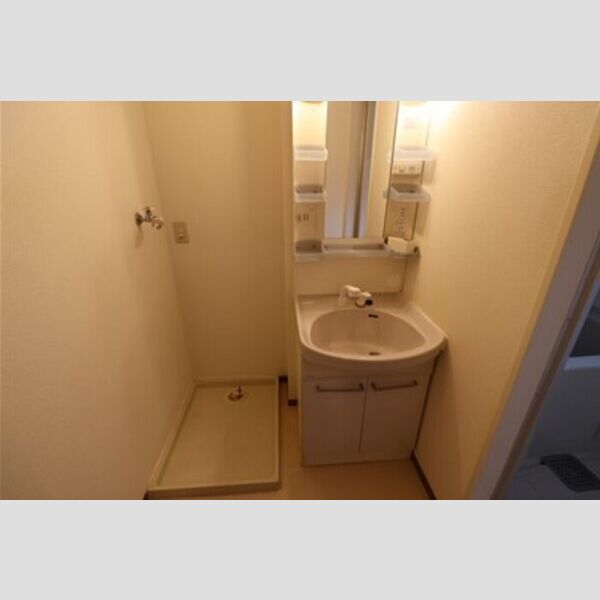 洗面所 (洗髪洗面化粧台・室内洗濯機置き場)