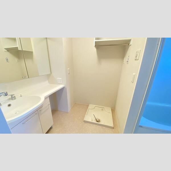 洗面所 (洗髪洗面化粧台)