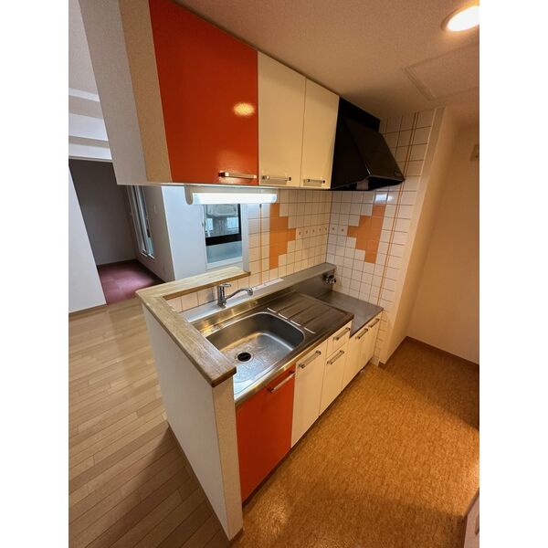 カルディーノN30 画像14