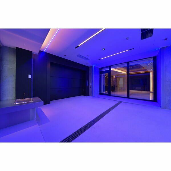 Gland luxs 画像6