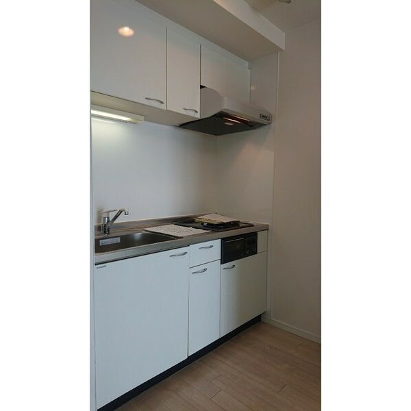 エグゼレジデンスタワーの室内写真2枚目