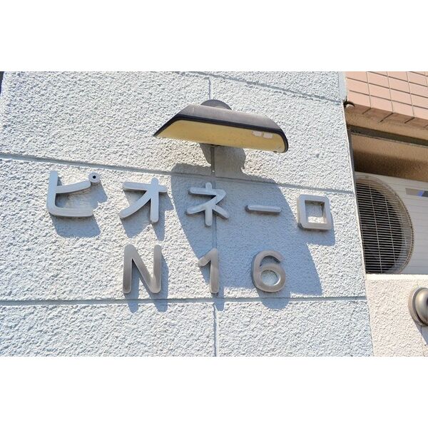 ピオネーロN16 画像3