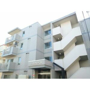 ノースウェイ31