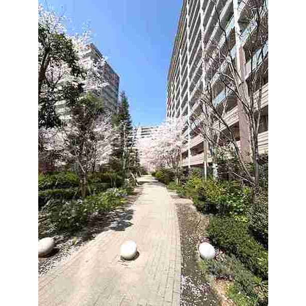 ミリカ・テラス2街区の外観7枚目