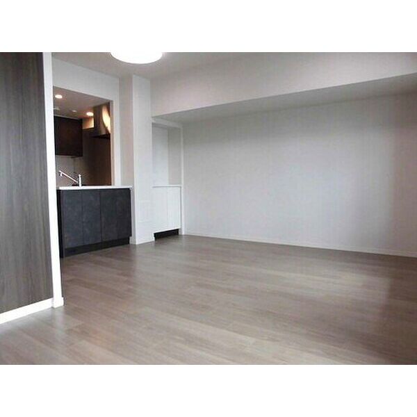 ワコーレ ザ・神戸旧居留地レジデンスタワーの室内写真1枚目