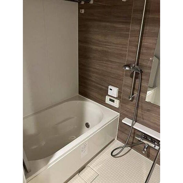 メイツブラン・ヴェリテ若江岩田の室内写真3枚目