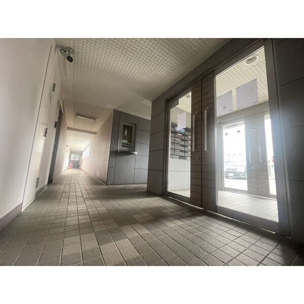 DOMUS33(ドムス33) 画像2