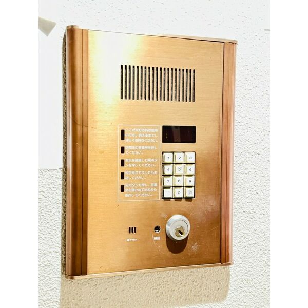 ニューグリーンリーブス 画像3
