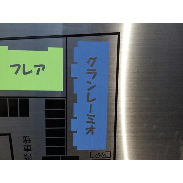 OTHER