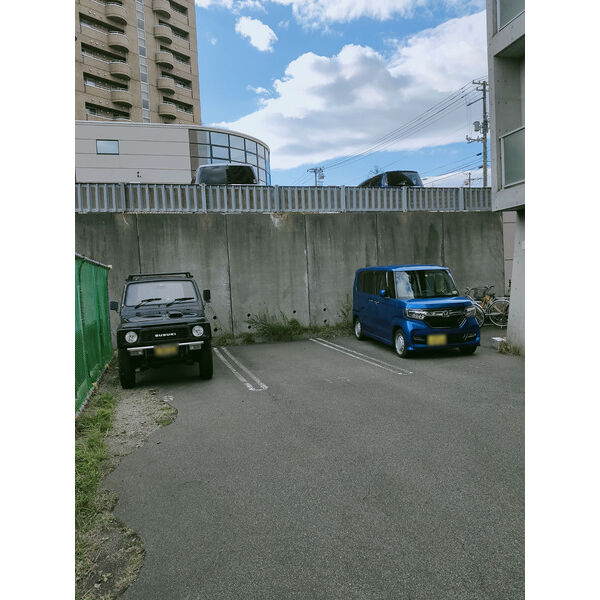 feuilles vertes AJ(ヒューベルエージェー) 画像4