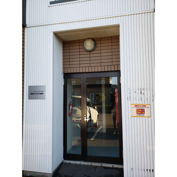シャネル中井 画像2