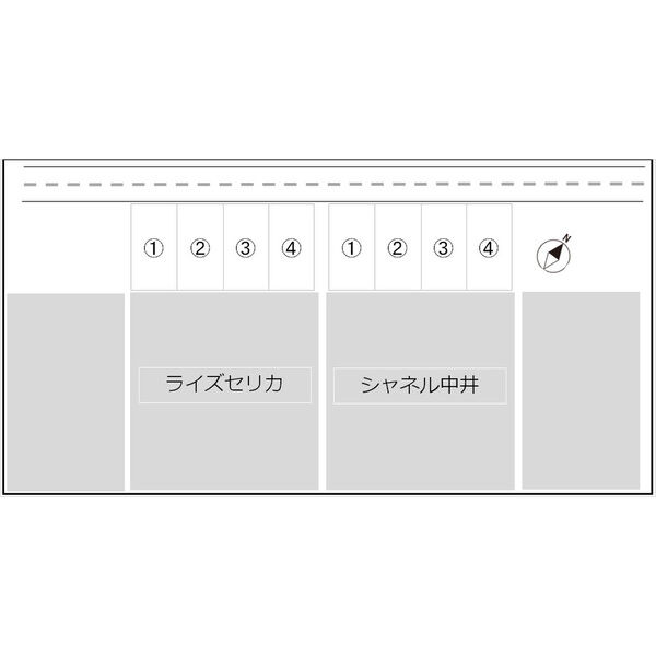 シャネル中井 画像6