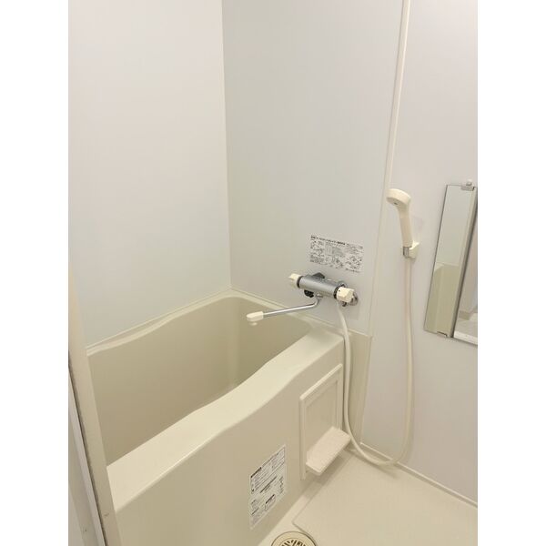 バス