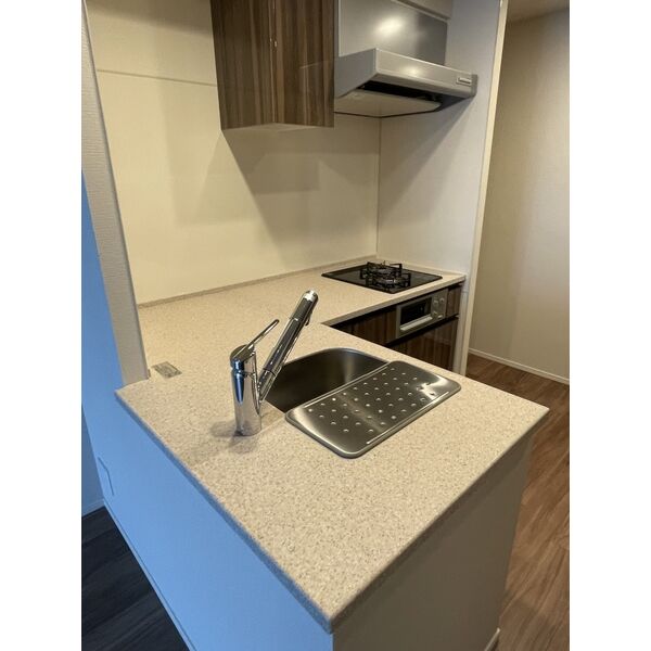 レーベン長岡天神CRESISTの室内写真10枚目