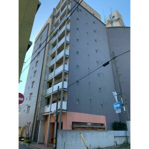 エレガンス川上