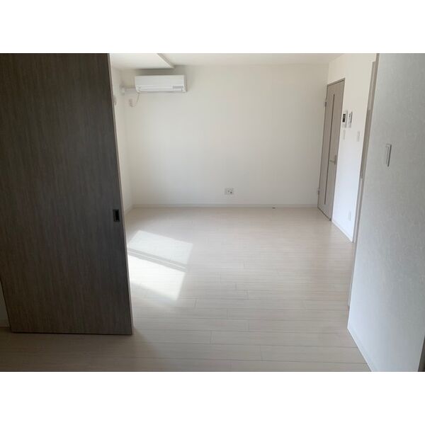 Prograce S19 画像9