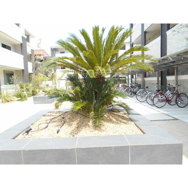 Jacaranda Yard Bの外観7枚目