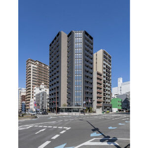 ザ・パークハビオ谷町六丁目クロス