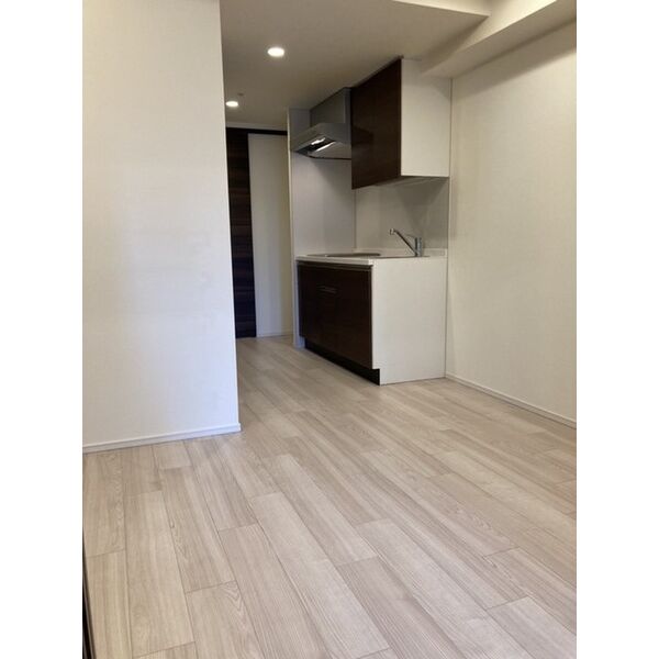 ザ・パークハビオ堂島の室内写真7枚目