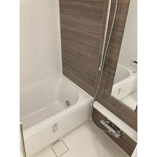 ザ・パークハビオ江坂公園の室内写真40枚目